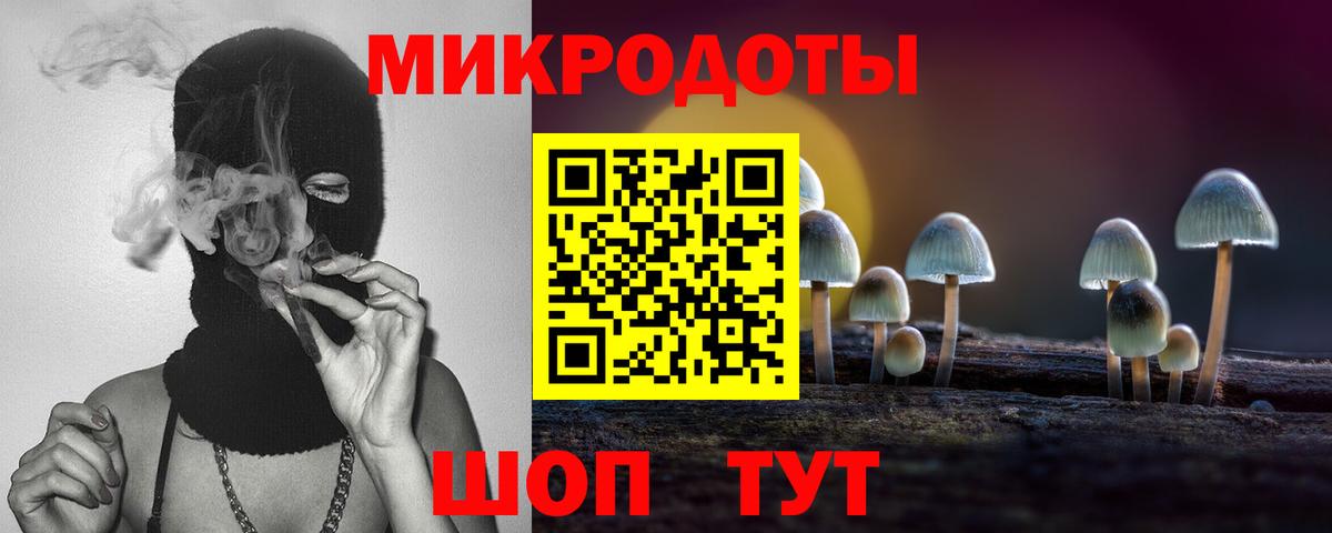 Балтийск  Псилоцибиновые грибы Psilocybine cubensis  Вход с VPN 